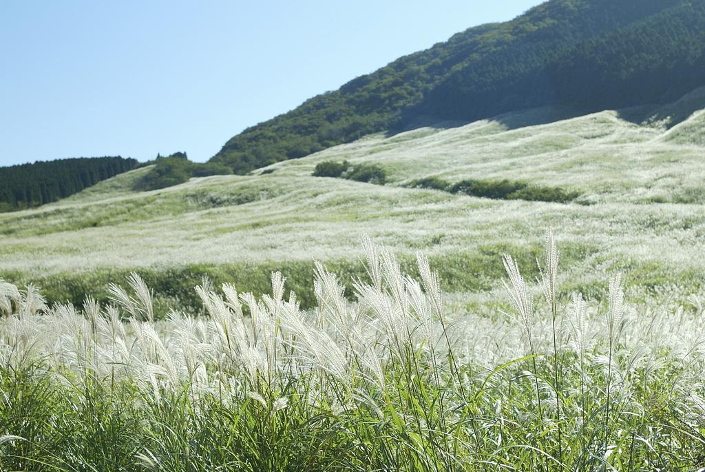 Hakone Highland Hotel Bagian luar foto
