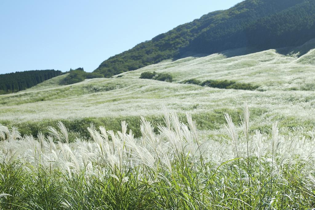 Hakone Highland Hotel Bagian luar foto