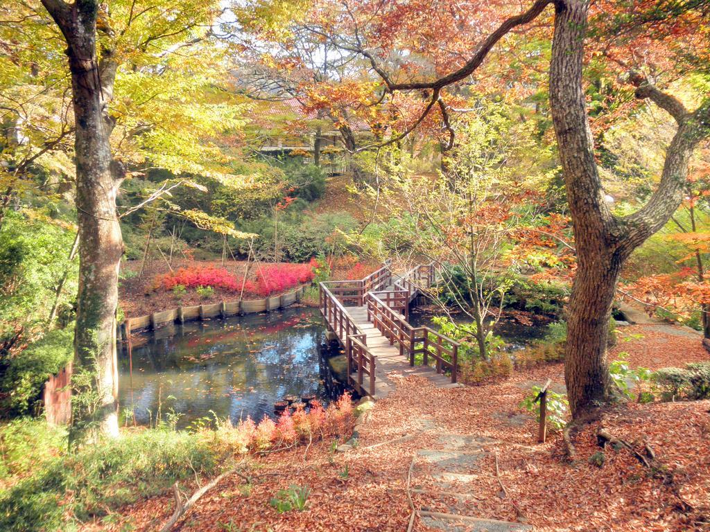 Hakone Highland Hotel Bagian luar foto